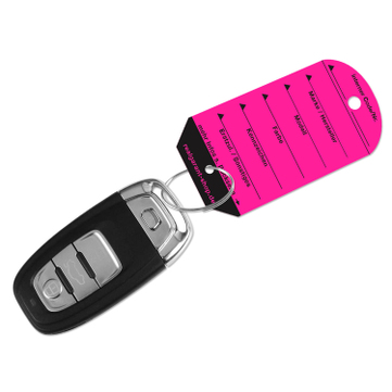 Schlüsselanhänger Car: 100 Anhänger, 100 Schlüsselringe  Fuchsia