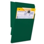 Fächersystem Multi-S 2 Fächer für DIN A4, Griffsicht-System Hochformat, Metall grün