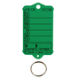 Schlüsselanhänger Autotag 1: 200 Anhänger + Ringe, 1 Stift  Grün