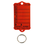 Schlüsselanhänger Autotag 1: 200 Anhänger + Ringe, 1 Stift  Rot
